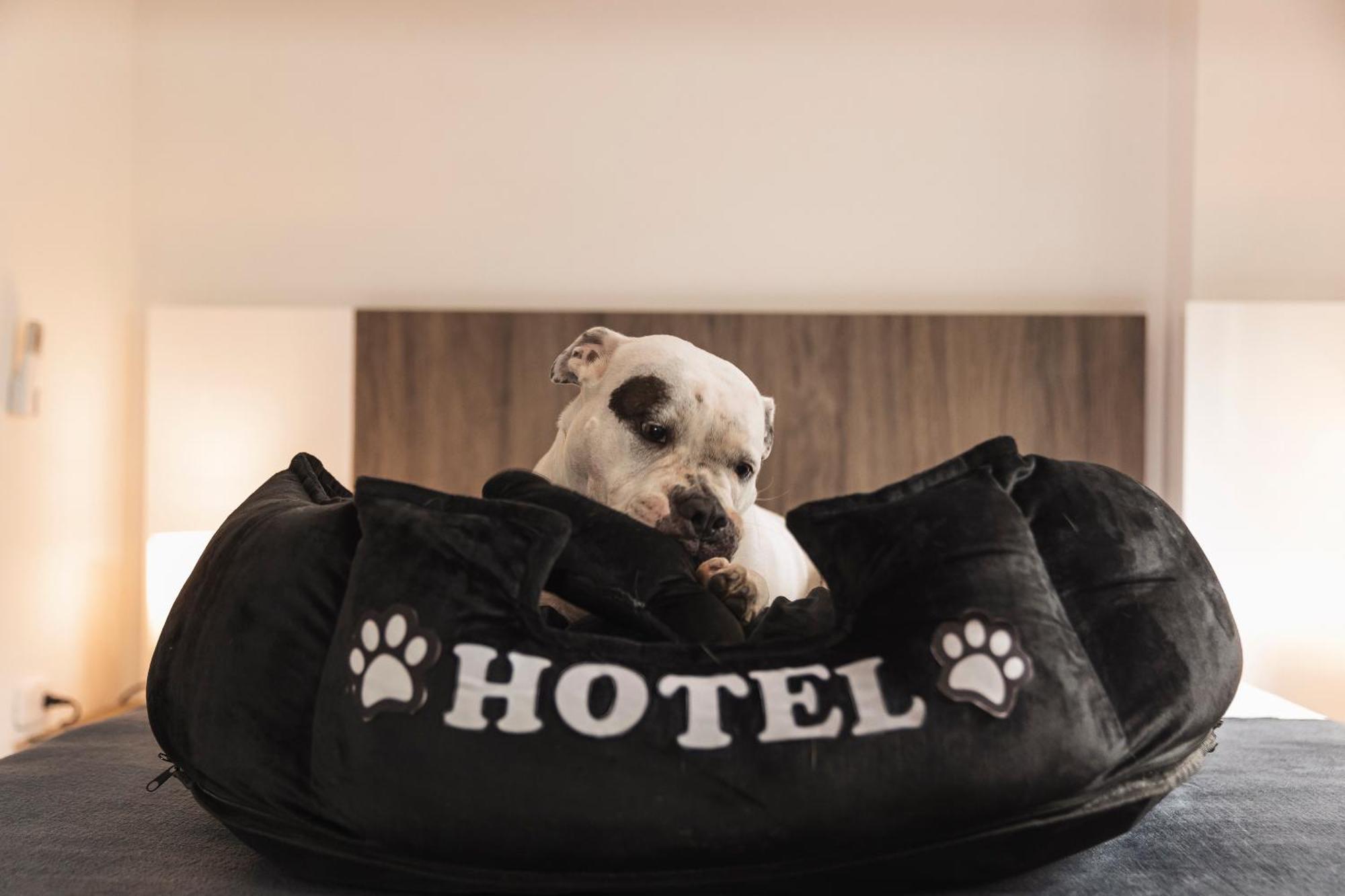 Hotel Boutique Bussines Center Cali Exterior foto